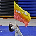 Mascoutah Guard 31310